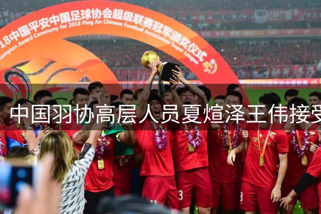 中国羽协高层人员夏煊泽王伟接受纪律审查